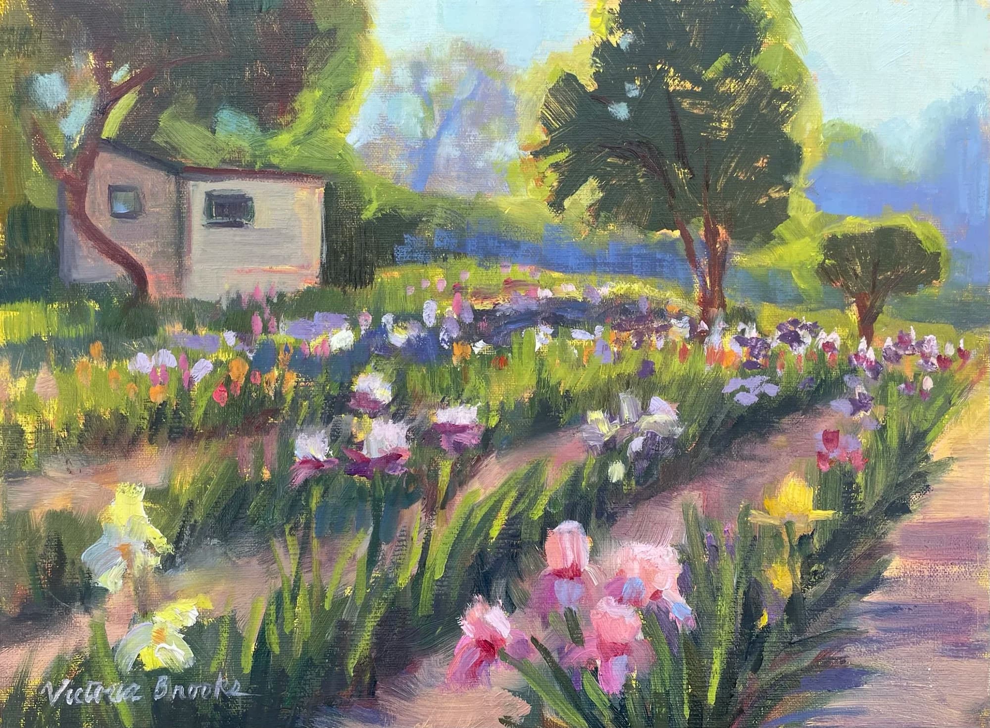 Horton Iris Farm — oil painting by Victoria Brooks