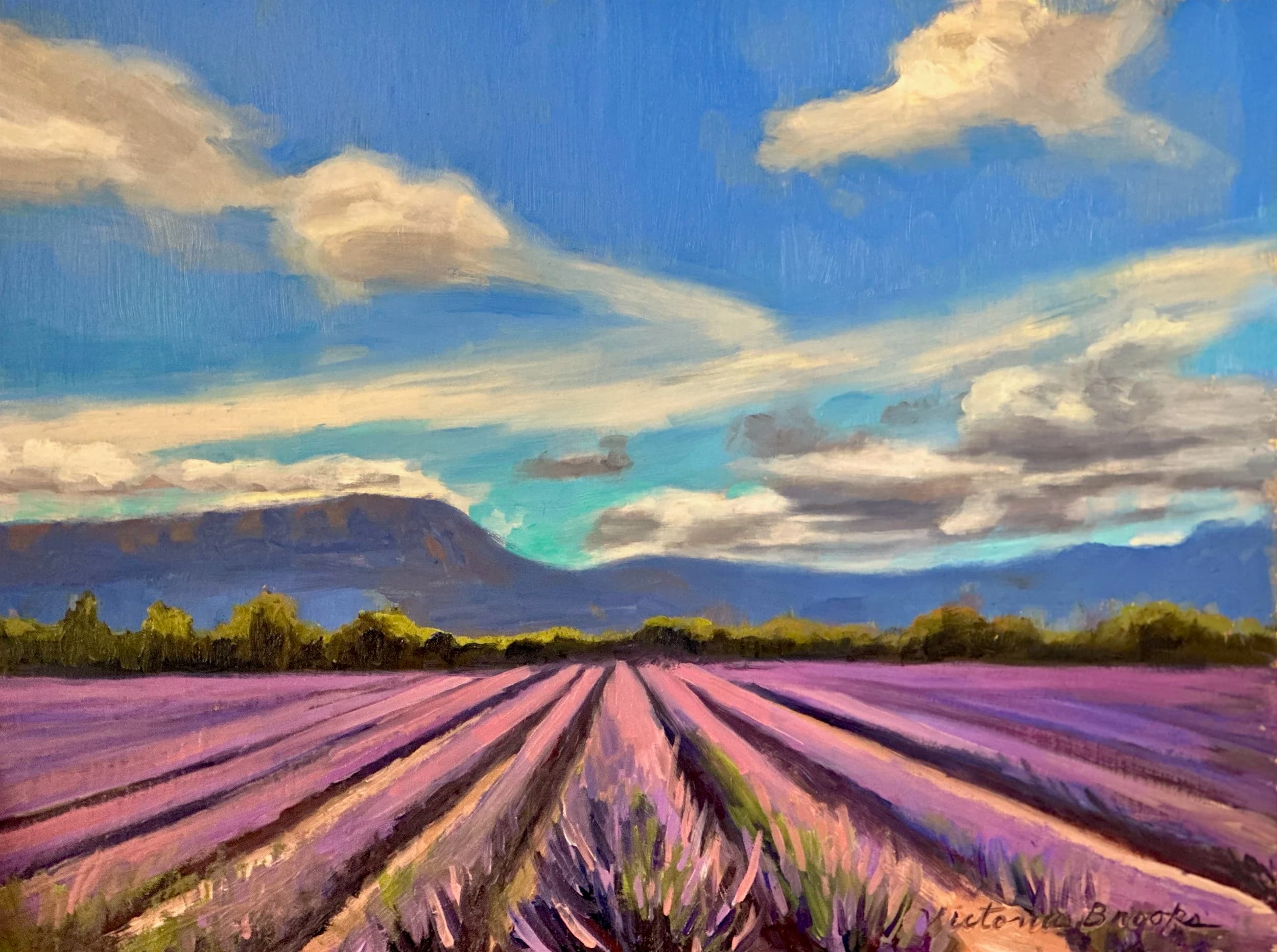 Valensole Lavender — oil painting by Victoria Brooks